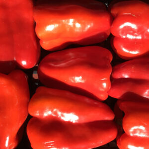 Peperoni rossi (500gr)